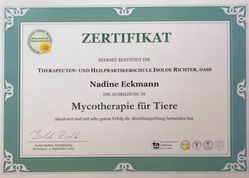 Zertifikat Mykotherapie